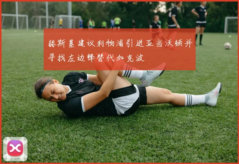 赫斯基建议利物浦引进亚当沃顿并寻找左边锋替代加克波