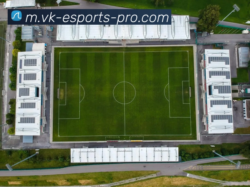 威客电竞服务体系